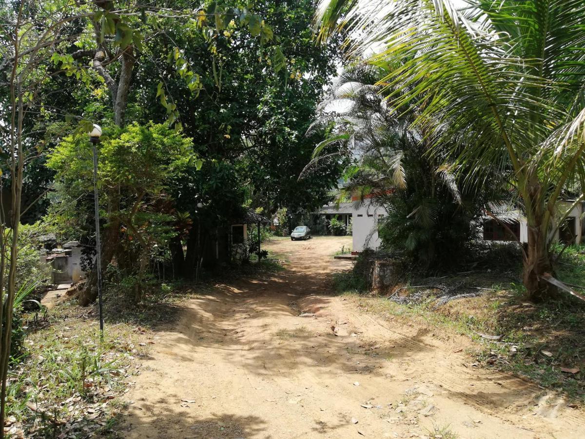 Leaf Guest House Gampola Exteriör bild