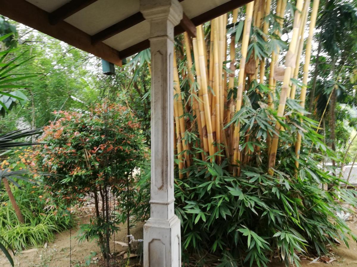 Leaf Guest House Gampola Exteriör bild