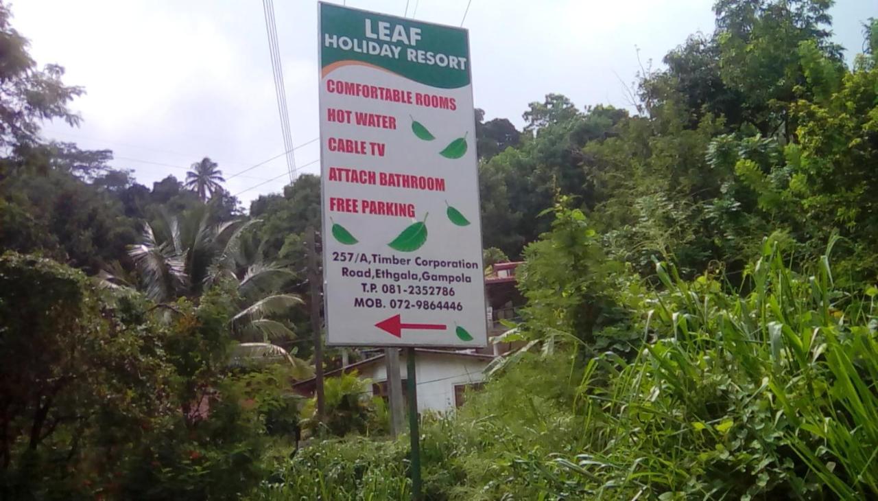 Leaf Guest House Gampola Exteriör bild