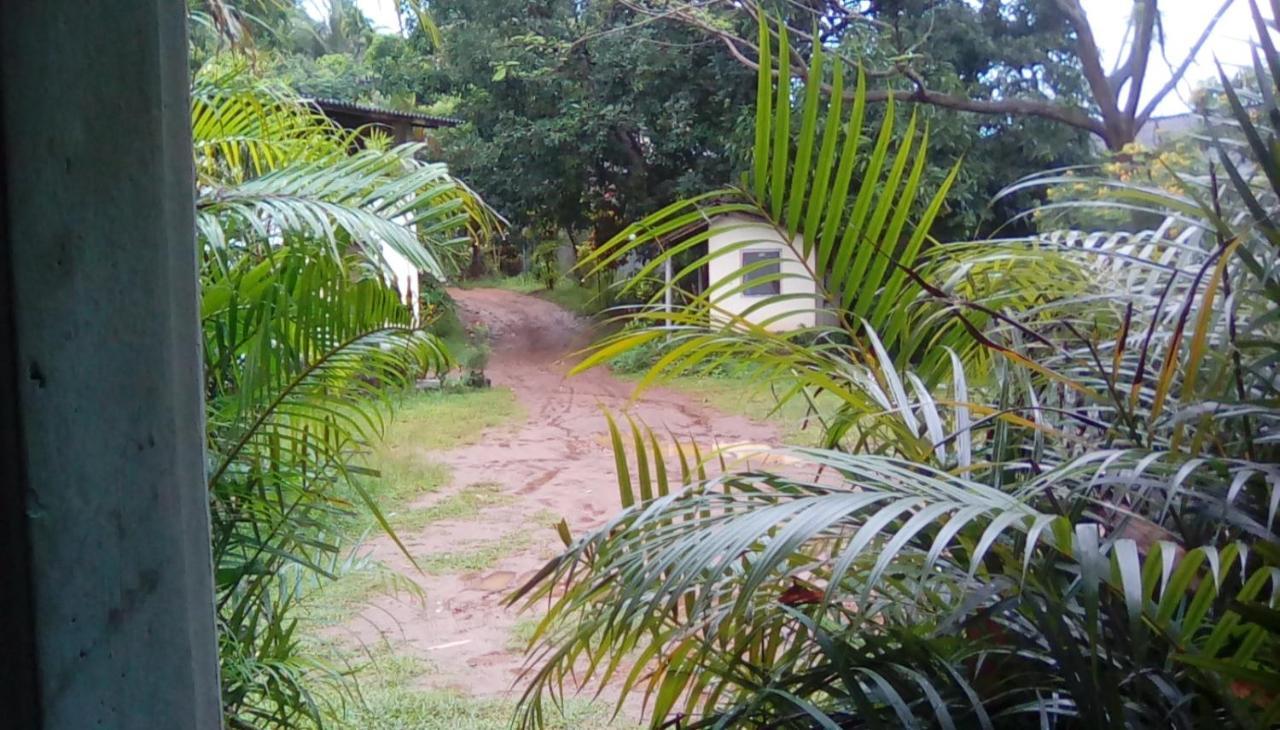 Leaf Guest House Gampola Exteriör bild