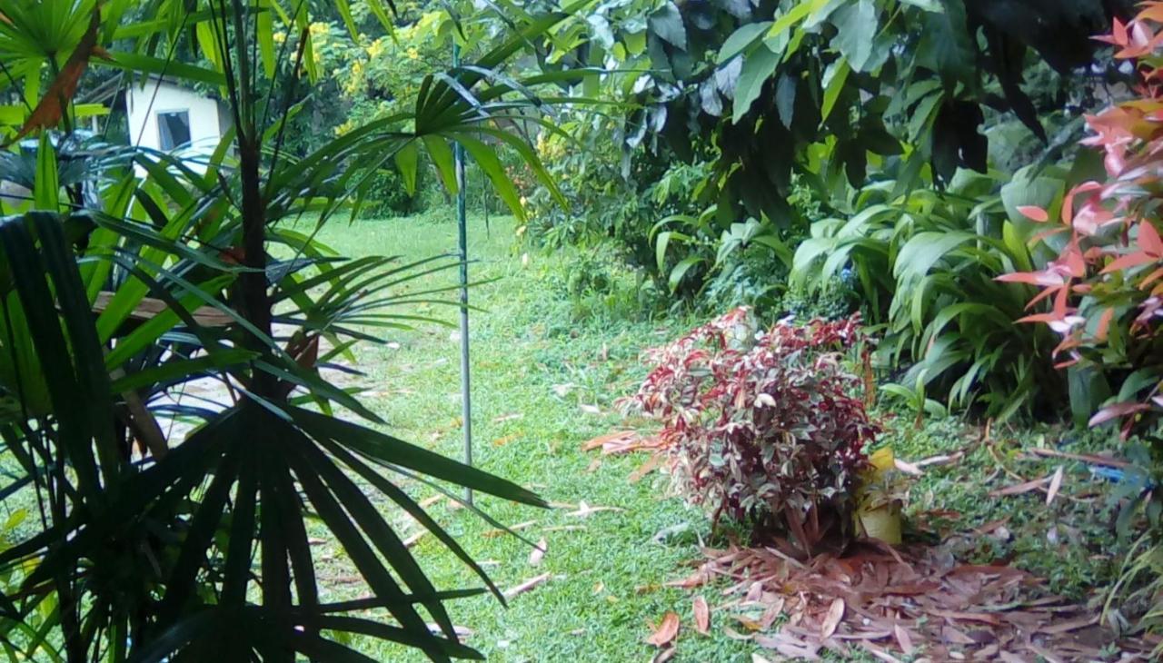 Leaf Guest House Gampola Exteriör bild