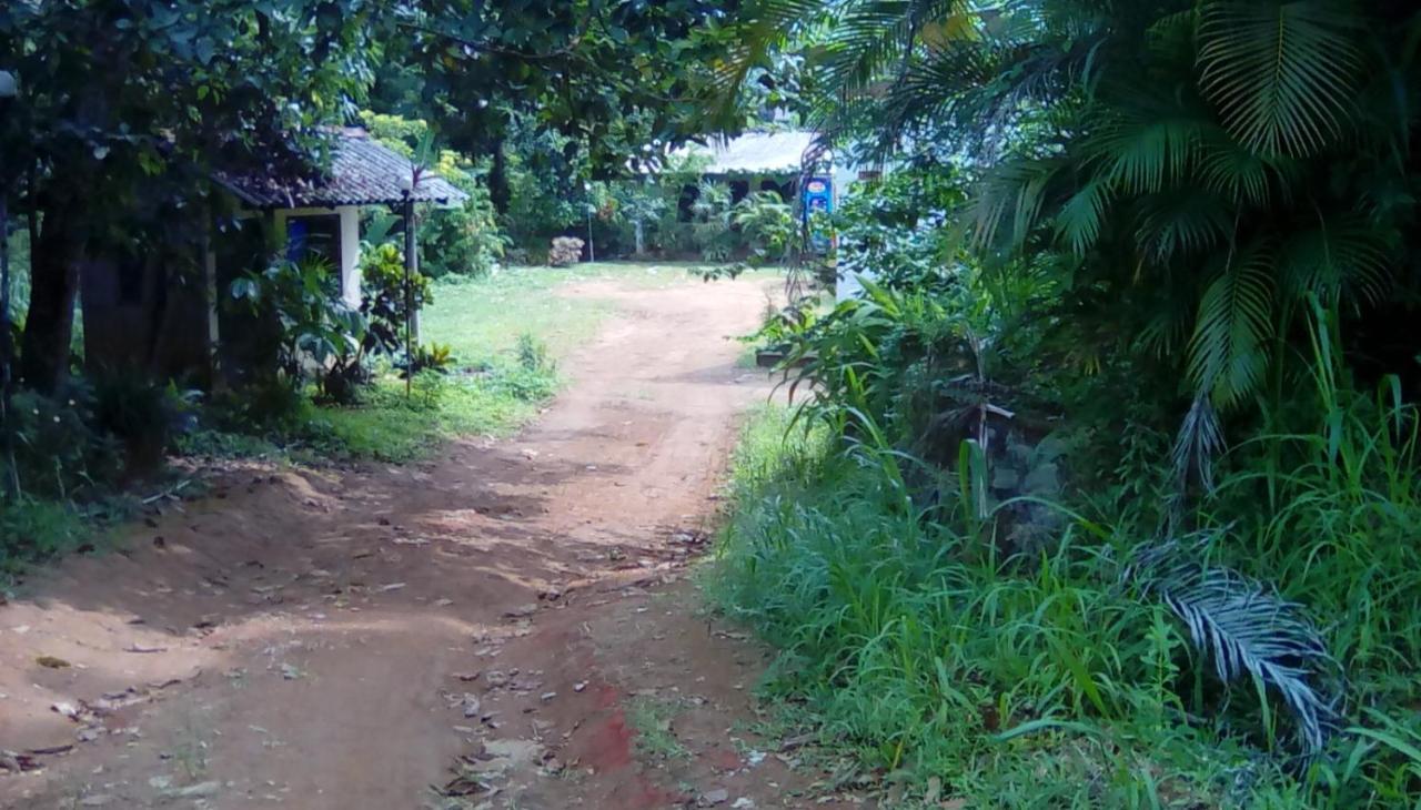 Leaf Guest House Gampola Exteriör bild